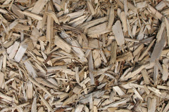 biomass boilers Twiston